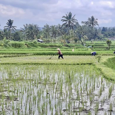 Groepsreis fietstocht Bali